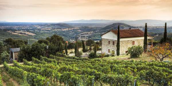 8-Day Gourmet Tuscany Guided Tour w/ 14 Meals