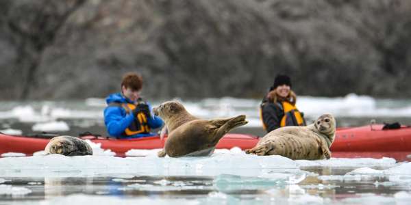 7-Nt Alaska Cruise | Save Up To $1,000 Per Cabin