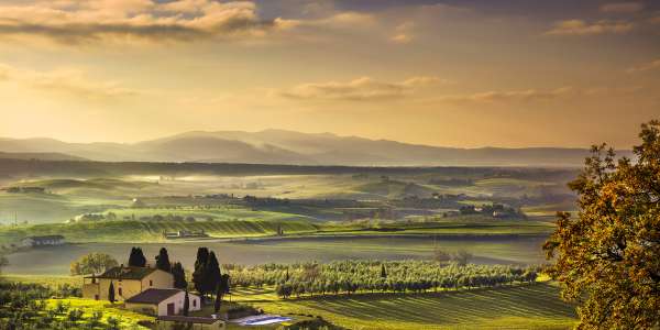 20-Nt Florence + Tuscany Cruise/Tour Package w/ Air