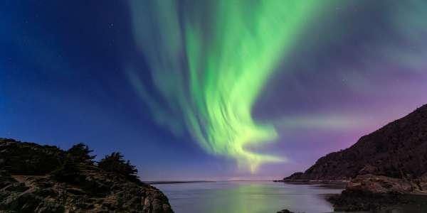 Plan the Perfect Alaska Getaway in Anchorage