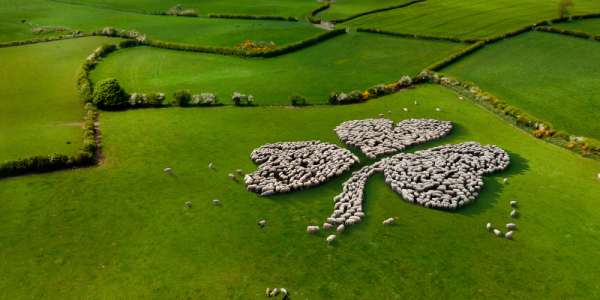 R/T Flights To Europe | Aer Lingus St. Patrick's Day Sale