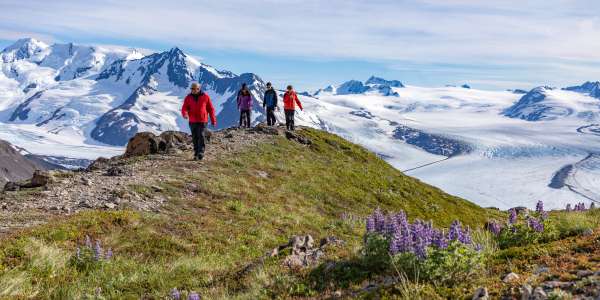 Special Offers to Save on Your Alaska Vacation